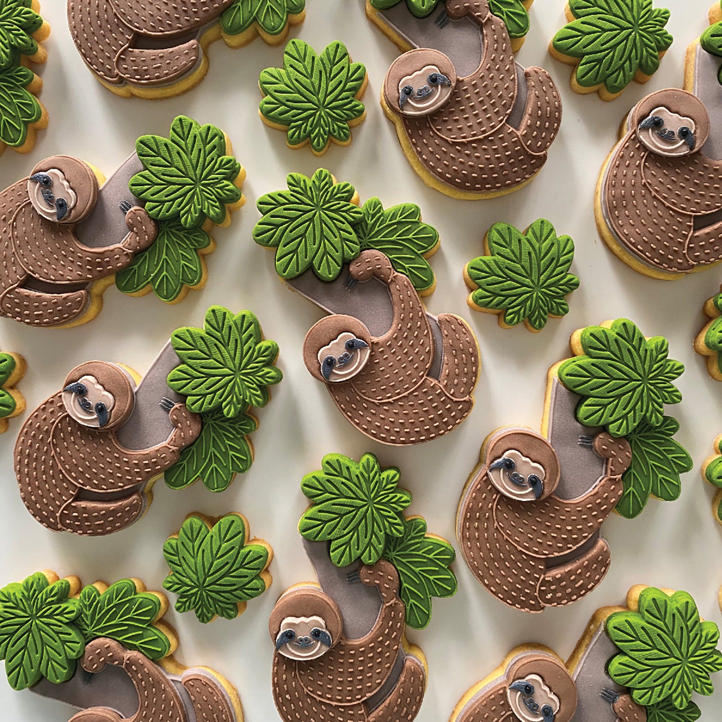 SAM THE SLOTH SINGLE