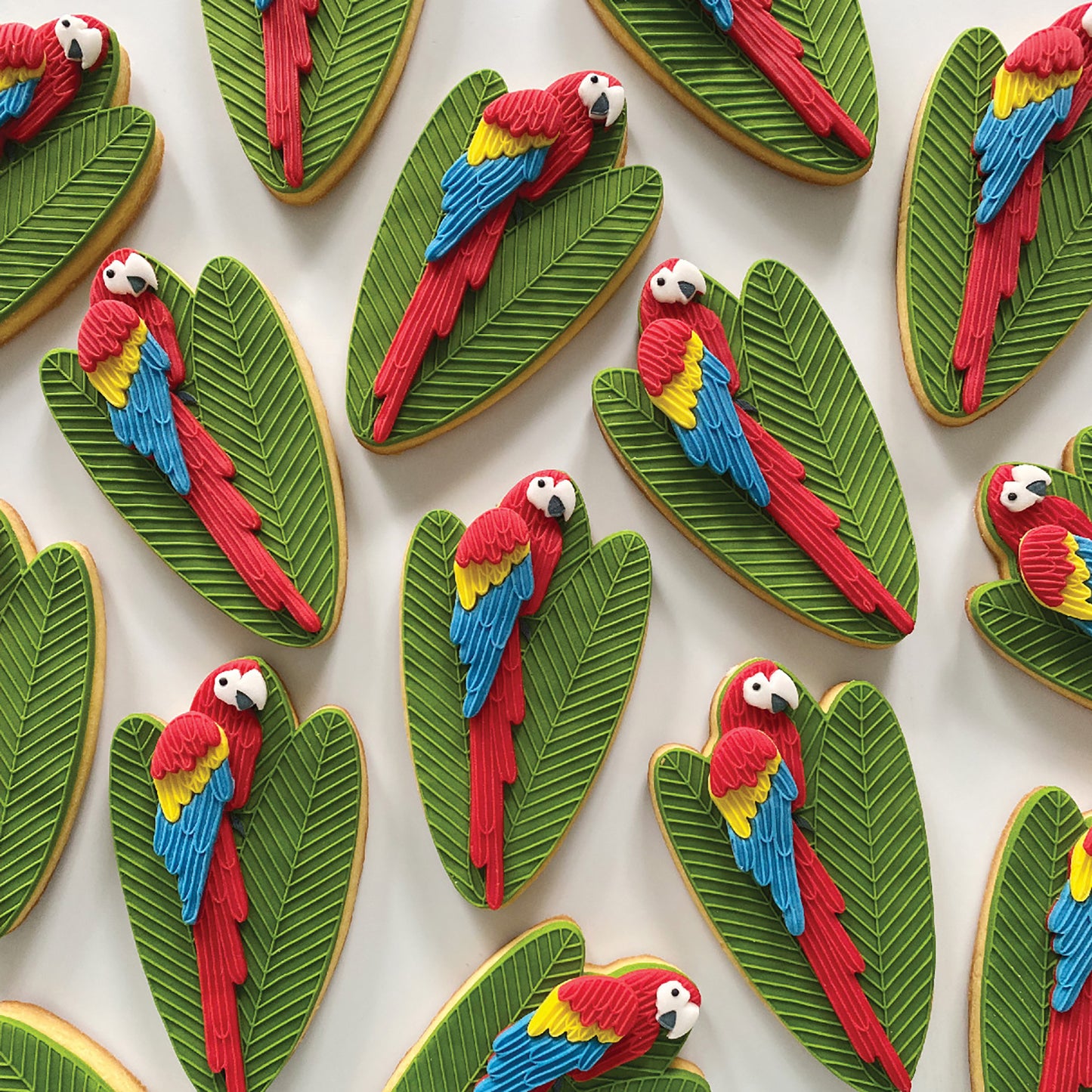 SCARLET THE MACAW SINGLE