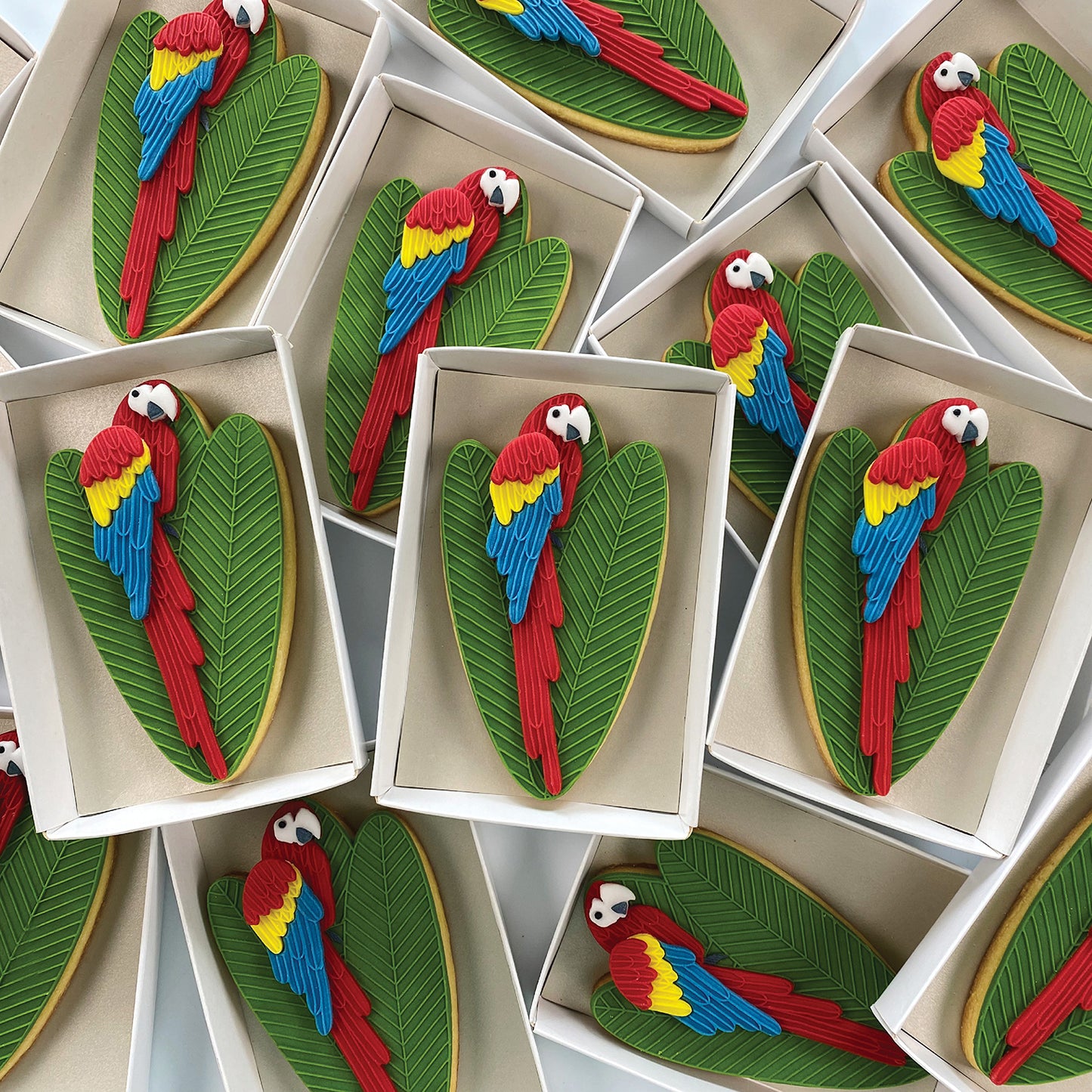 SCARLET THE MACAW SINGLE