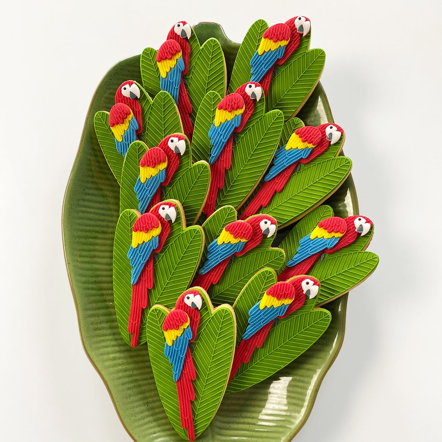 SCARLET THE MACAW SINGLE