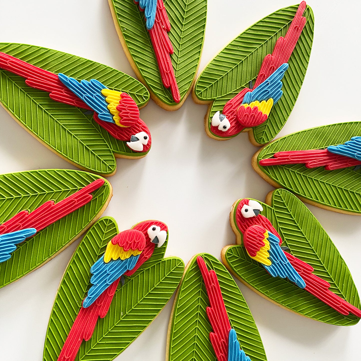 SCARLET THE MACAW SINGLE