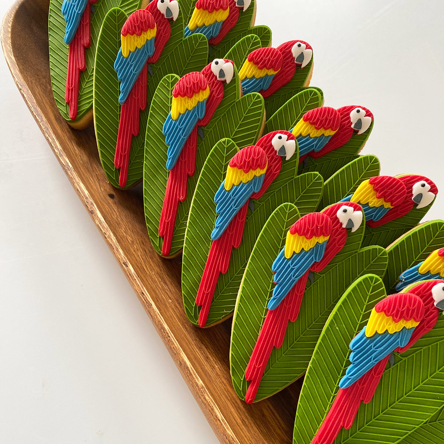 SCARLET THE MACAW SINGLE