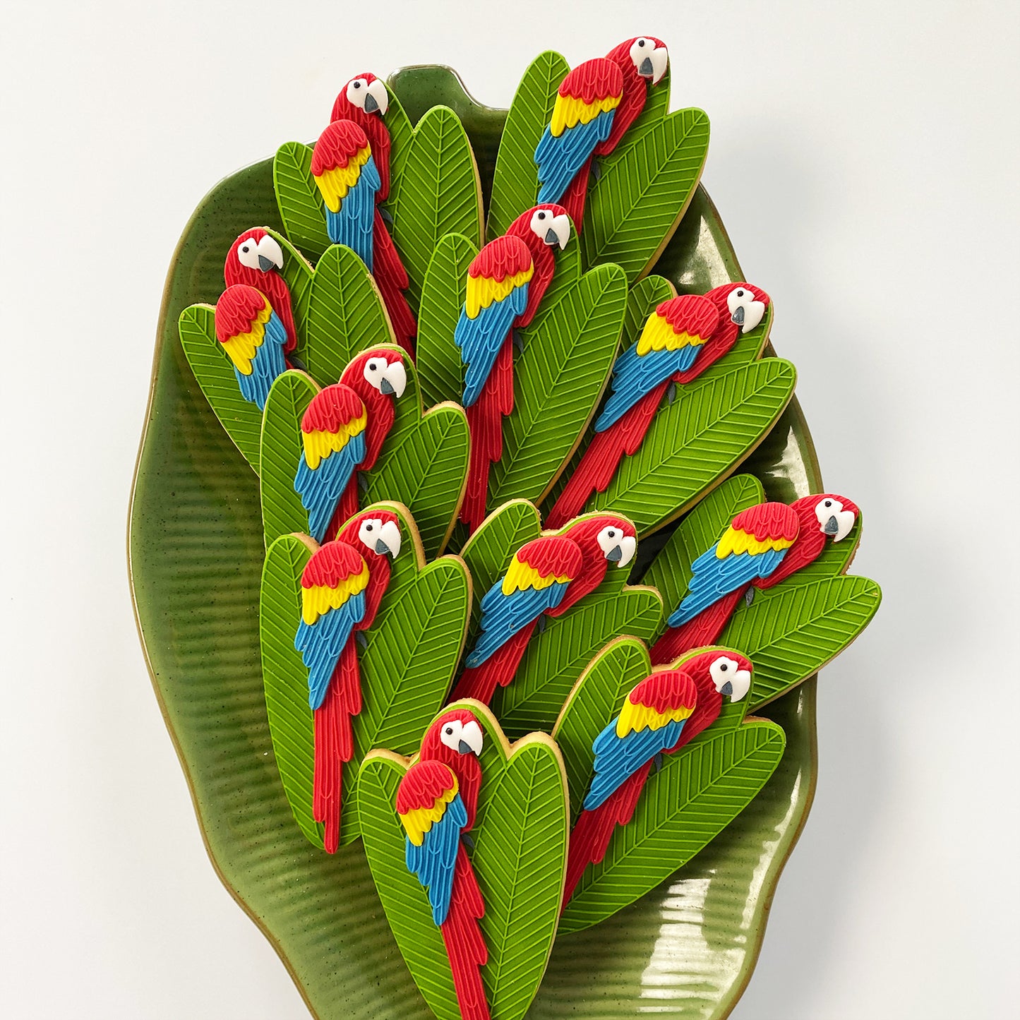 SCARLET THE MACAW SINGLE