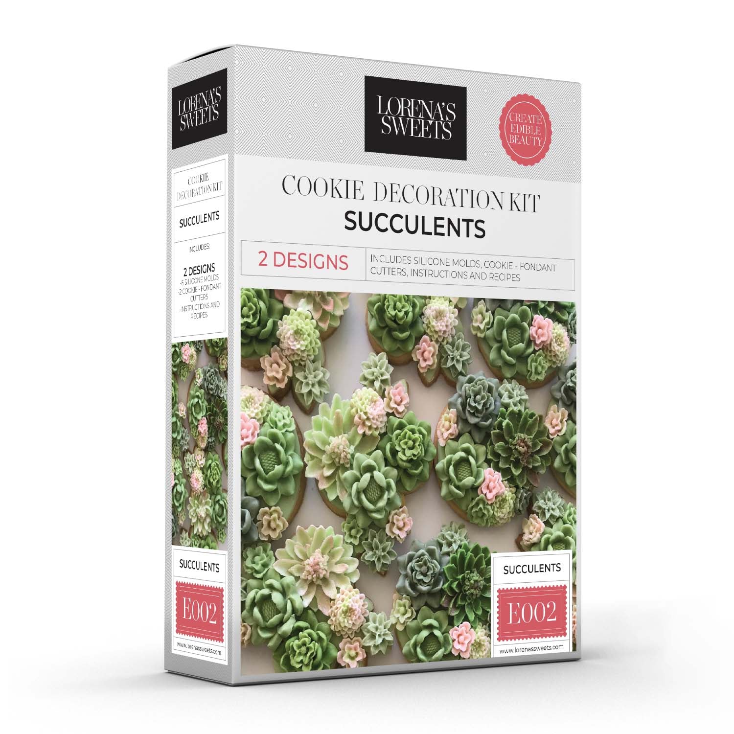 succulent treats Lorena's Sweets Succulents Kit