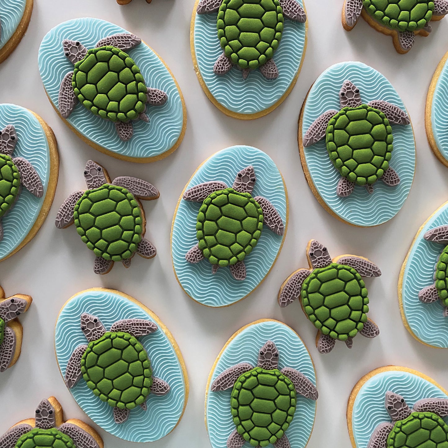 TINA THE TURTLE SINGLE