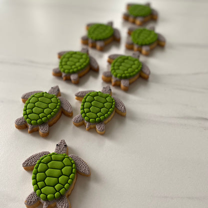 TINA THE TURTLE SINGLE