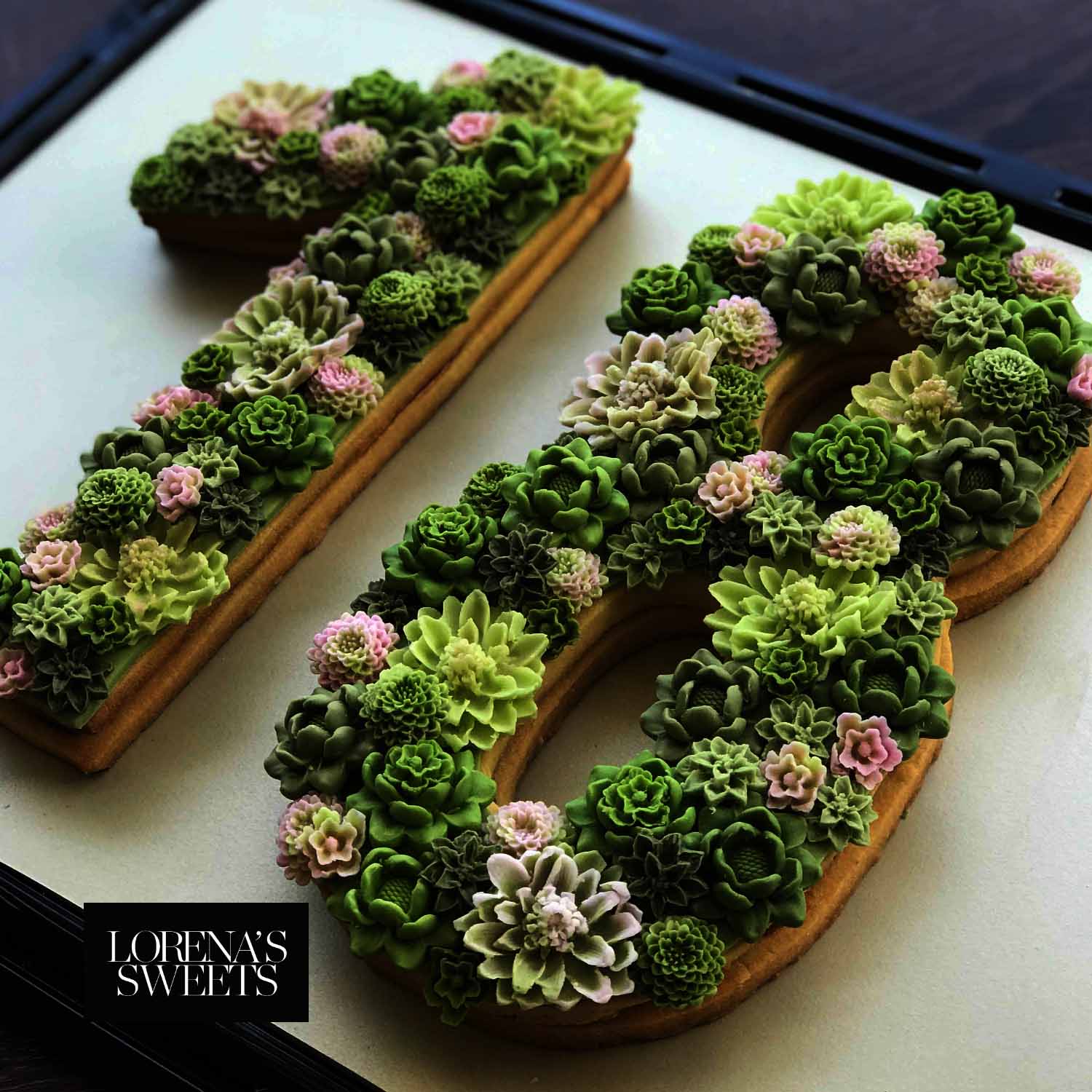 succulent cookies SUCCULENTS