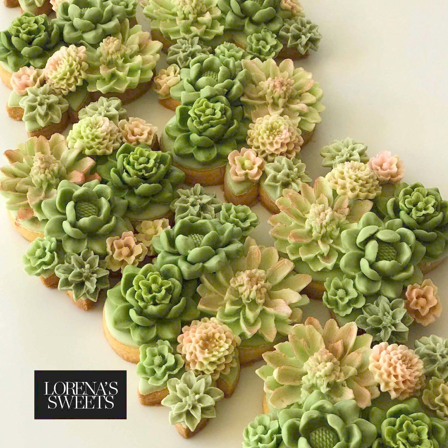 Cookie_Decoration_Kit_Succulents